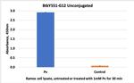 Phospho-Btk (Tyr551) Antibody in ELISA (ELISA)