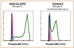 Phospho-Btk (Tyr551) Antibody in Flow Cytometry (Flow)