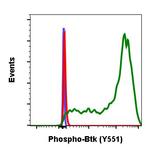 Phospho-Btk (Tyr551) Antibody in Flow Cytometry (Flow)