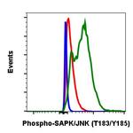 Phospho-MAPK9 (Thr183, Tyr185) Antibody in Flow Cytometry (Flow)