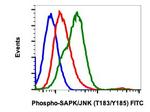 Phospho-MAPK9 (Thr183, Tyr185) Antibody in Flow Cytometry (Flow)