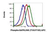 Phospho-MAPK9 (Thr183, Tyr185) Antibody in Flow Cytometry (Flow)