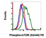 Phospho-mTOR (Ser2448) Antibody in Flow Cytometry (Flow)