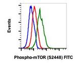 Phospho-mTOR (Ser2448) Antibody in Flow Cytometry (Flow)