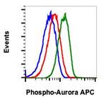 Phospho-Aurora A/B/C (Thr288, Thr232, Thr198) Antibody in Flow Cytometry (Flow)