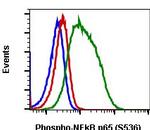 Phospho-NFKB p65 (Ser536) Antibody in Flow Cytometry (Flow)