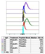 Phospho-NFkB p65 (Ser529) Antibody in Flow Cytometry (Flow)