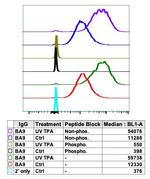 Phospho-c-Fos (Ser32) Antibody in Flow Cytometry (Flow)