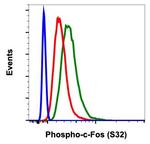 Phospho-c-Fos (Ser32) Antibody in Flow Cytometry (Flow)