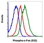 Phospho-c-Fos (Ser32) Antibody in Flow Cytometry (Flow)