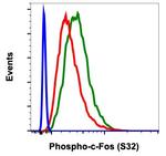 Phospho-c-Fos (Ser32) Antibody in Flow Cytometry (Flow)