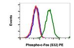 Phospho-c-Fos (Ser32) Antibody in Flow Cytometry (Flow)