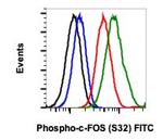 Phospho-c-Fos (Ser32) Antibody in Flow Cytometry (Flow)