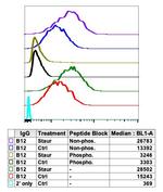 Phospho-MCM2 (Ser139) Antibody in Flow Cytometry (Flow)