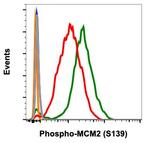 Phospho-MCM2 (Ser139) Antibody in Flow Cytometry (Flow)