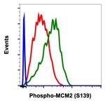 Phospho-MCM2 (Ser139) Antibody in Flow Cytometry (Flow)