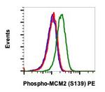 Phospho-MCM2 (Ser139) Antibody in Flow Cytometry (Flow)