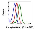 Phospho-MCM2 (Ser139) Antibody in Flow Cytometry (Flow)