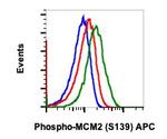 Phospho-MCM2 (Ser139) Antibody in Flow Cytometry (Flow)