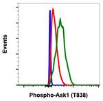 Phospho-Ask1 (Thr838) Antibody in Flow Cytometry (Flow)