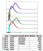 Phospho-Ask1 (Thr838) Antibody in Flow Cytometry (Flow)