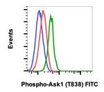 Phospho-Ask1 (Thr838) Antibody in Flow Cytometry (Flow)