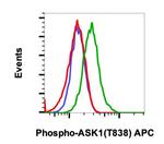 Phospho-Ask1 (Thr838) Antibody in Flow Cytometry (Flow)