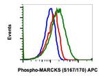 Phospho-MARCKS (Ser167, Ser170) Antibody in Flow Cytometry (Flow)