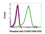 Phospho-Jak2 (Tyr1007, Tyr1008) Antibody in Flow Cytometry (Flow)