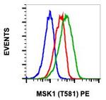 Phospho-MSK1 (Thr581) Antibody in Flow Cytometry (Flow)