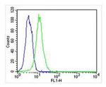 ATG4A Antibody in Flow Cytometry (Flow)