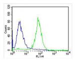 TrkB Antibody in Flow Cytometry (Flow)