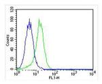 CSF1R Antibody in Flow Cytometry (Flow)