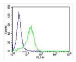 RAB3a Antibody in Flow Cytometry (Flow)