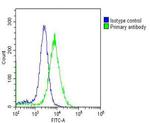 MCM3 Antibody in Flow Cytometry (Flow)