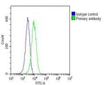 RAP1 Antibody in Flow Cytometry (Flow)