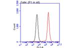 IKK beta Antibody in Flow Cytometry (Flow)