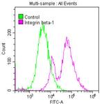 ITGB1 Antibody in Flow Cytometry (Flow)