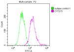 Alix Antibody in Flow Cytometry (Flow)