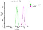 E2F1 Antibody in Flow Cytometry (Flow)