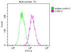 Glucocorticoid Receptor Antibody in Flow Cytometry (Flow)