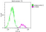 SDHB Antibody in Flow Cytometry (Flow)