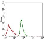 CD166 Antibody in Flow Cytometry (Flow)