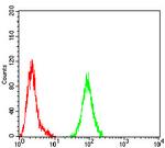 ASGR2 Antibody in Flow Cytometry (Flow)