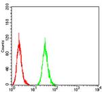 ATG16L1 Antibody in Flow Cytometry (Flow)