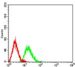 ATG4A Antibody in Flow Cytometry (Flow)