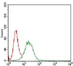 beta-2 Microglobulin Antibody in Flow Cytometry (Flow)