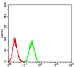 BNIP3 Antibody in Flow Cytometry (Flow)