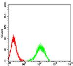 ADAM8 Antibody in Flow Cytometry (Flow)