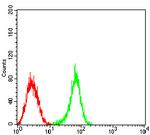 S1P1 Antibody in Flow Cytometry (Flow)